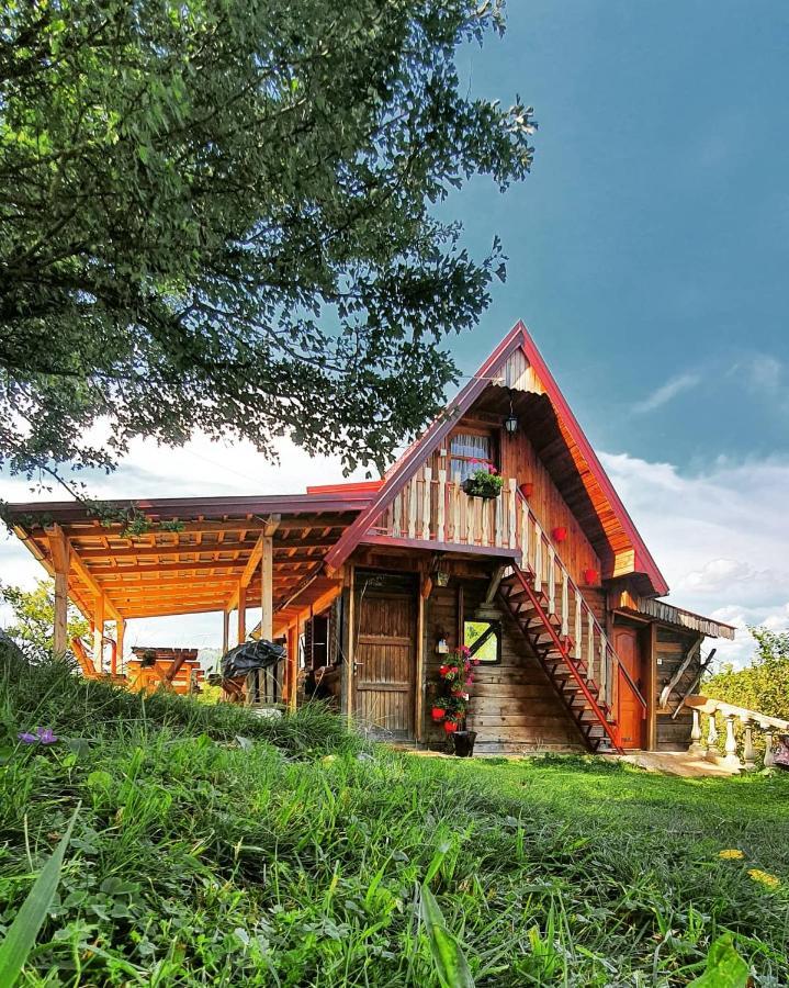 Log Cabin Uvac Nova Varoš 외부 사진