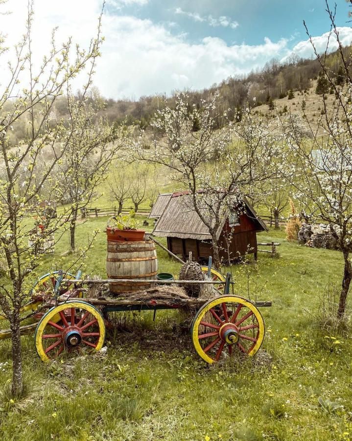 Log Cabin Uvac Nova Varoš 객실 사진