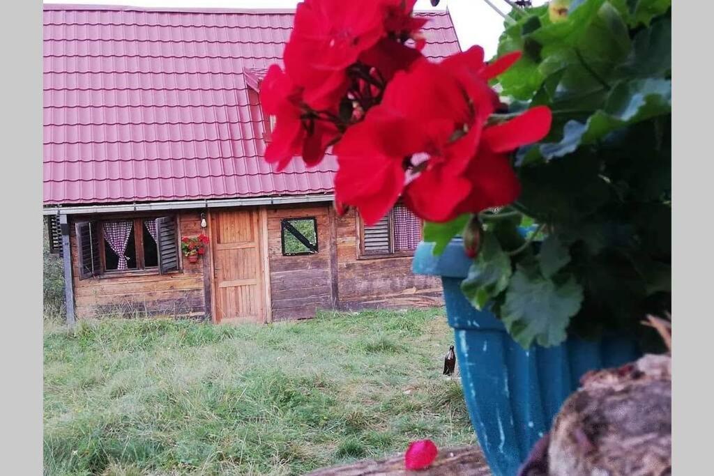 Log Cabin Uvac Nova Varoš 외부 사진