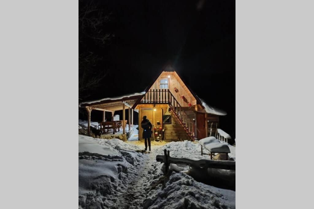 Log Cabin Uvac Nova Varoš 외부 사진